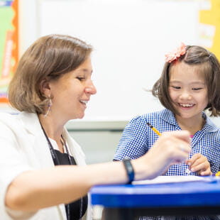 双语学校招聘 | 北京市顺义区诺德安达学校 - 04 Feature Cards Pattern