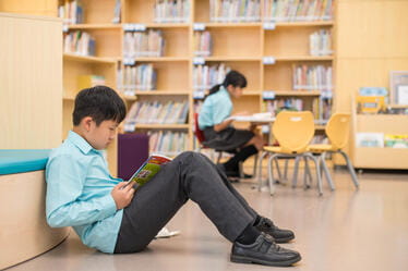 教学特色与学术表现 | 北京市顺义区诺德安达学校 - 05 VisualTimeline WithTags