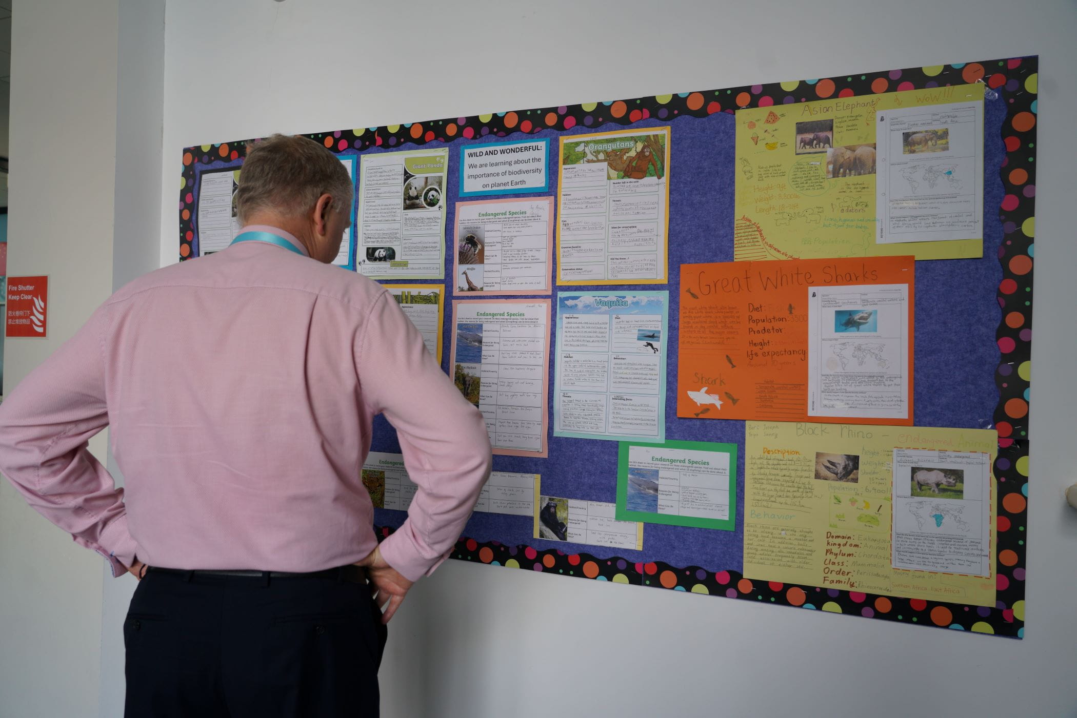 教育以人为本 - NAE中国区董事总经理Stuart White先生专访 - Stuart White Visit