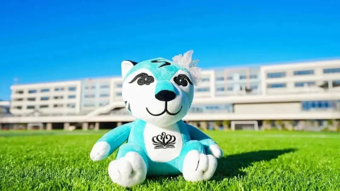 百万云豹卓越奖学金正式开放申请 | 天生不凡,燃亮未来 - Scholarship