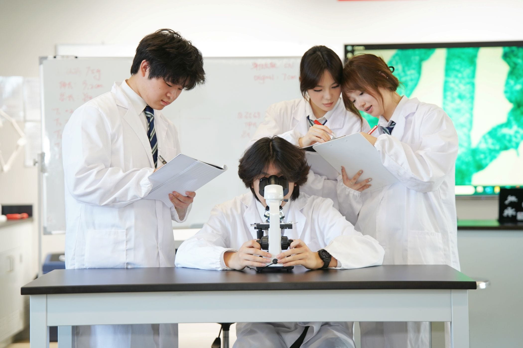 为什么在春季学期转学，而不是等到9月？ - Spring Term