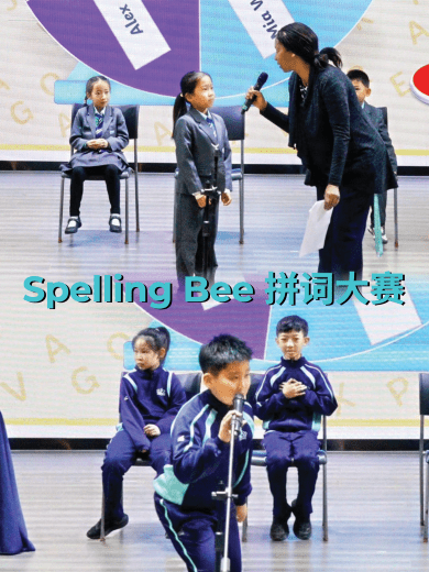 谁说文学枯燥？这所国际学校给出了答案📚 - Literacy Week