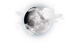 校园环境 | 北京顺义诺德安达学校 - 09 - Local Area Map-weather icon