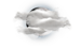 校园环境 | 北京顺义诺德安达学校 - 09 - Local Area Map-weather icon